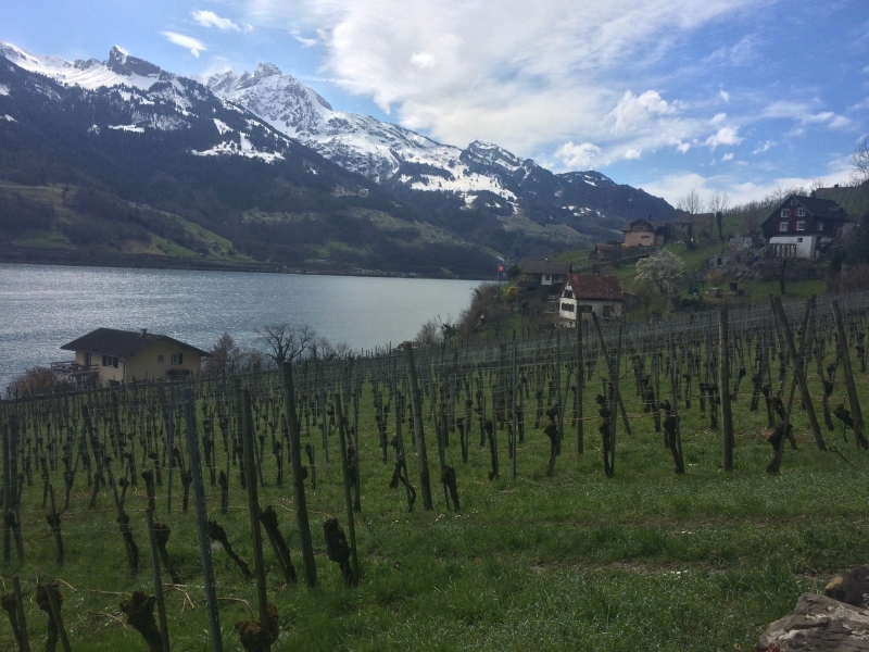 Walensee Spring