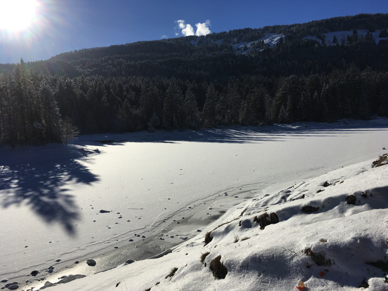 Chapfensee in de winter
