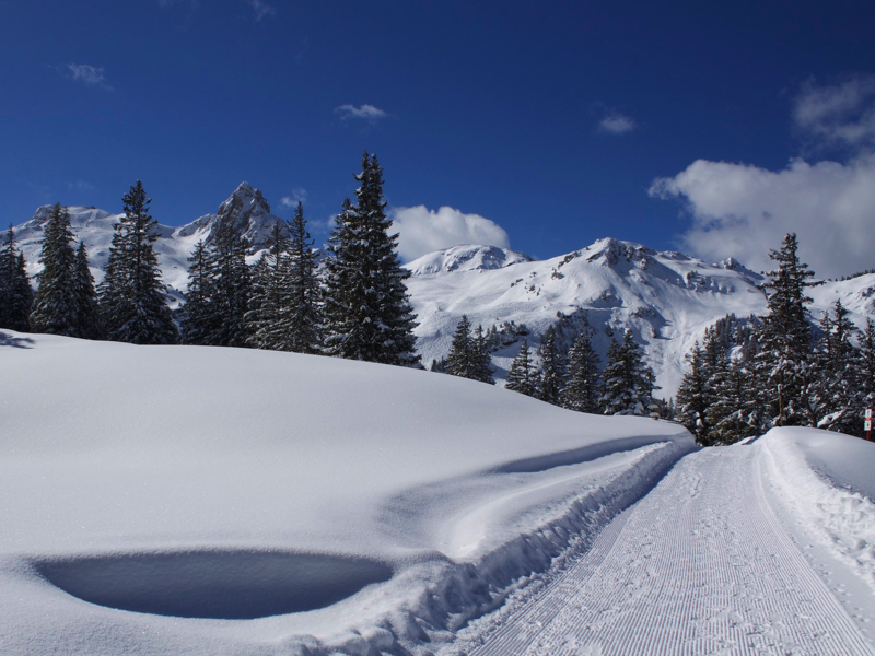 Seebenalp winter